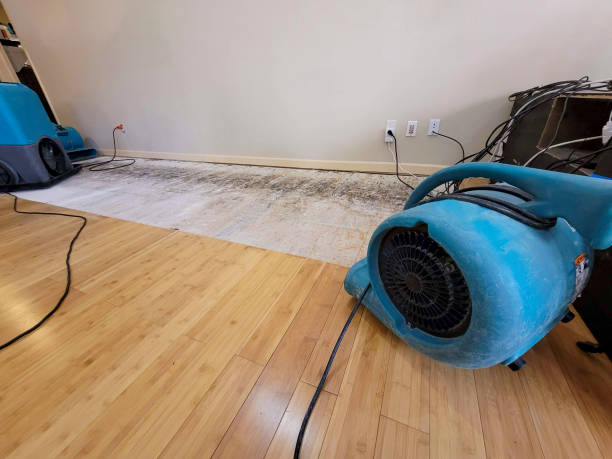 Professional Water Extraction technician working in Maple Shade, NJ